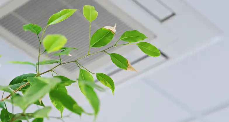 Indoor Air Quality Solutions in San Antonio